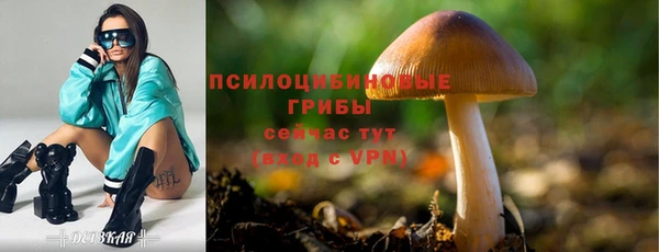 ГАЛЛЮЦИНОГЕННЫЕ ГРИБЫ Балахна