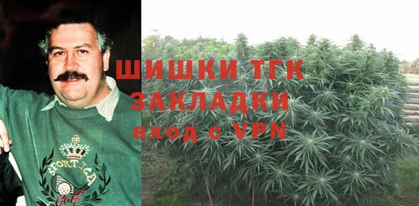 ГАЛЛЮЦИНОГЕННЫЕ ГРИБЫ Балахна