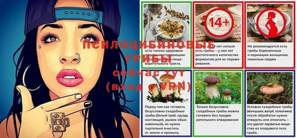 индика Балабаново