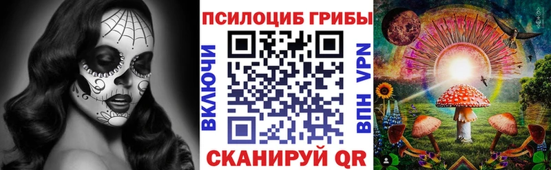цены наркотик  Брянск  Псилоцибиновые грибы Magic Shrooms 